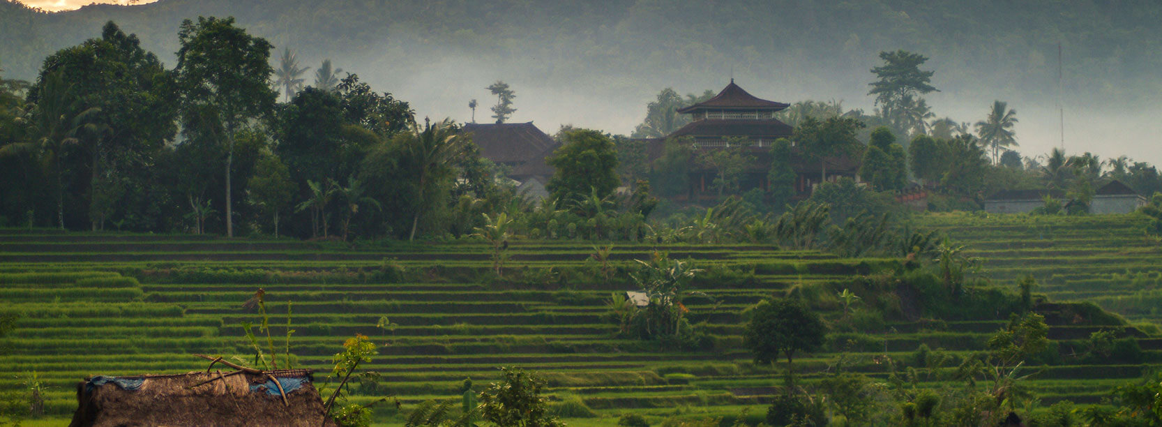 Balinese Rice Terraces in the Village of Sidemen.