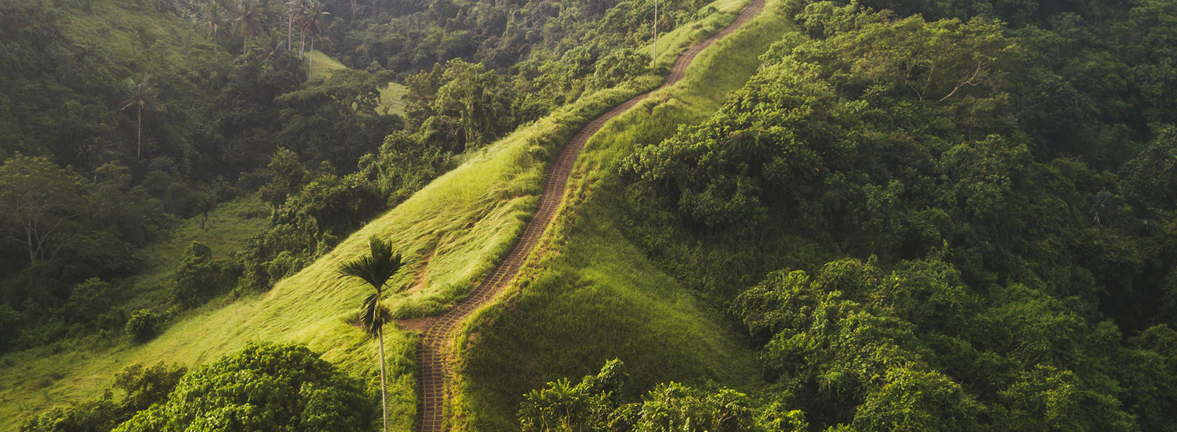 Campuhan Ridge Walk