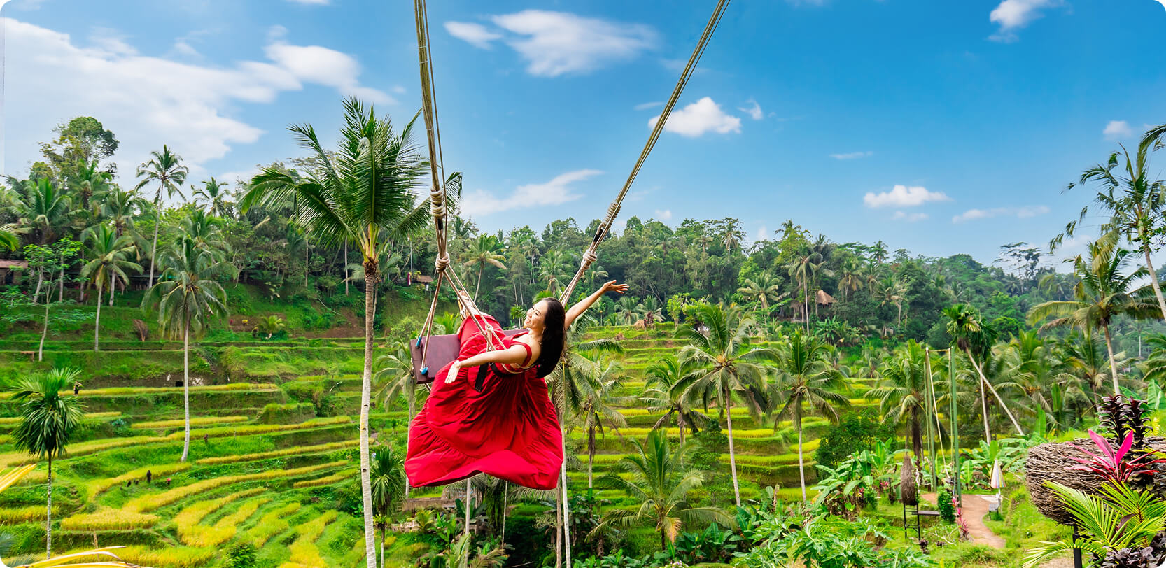Indonesia rice terraces