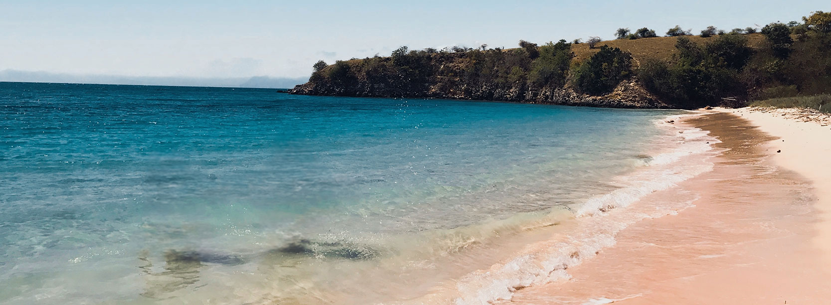 Pink beach