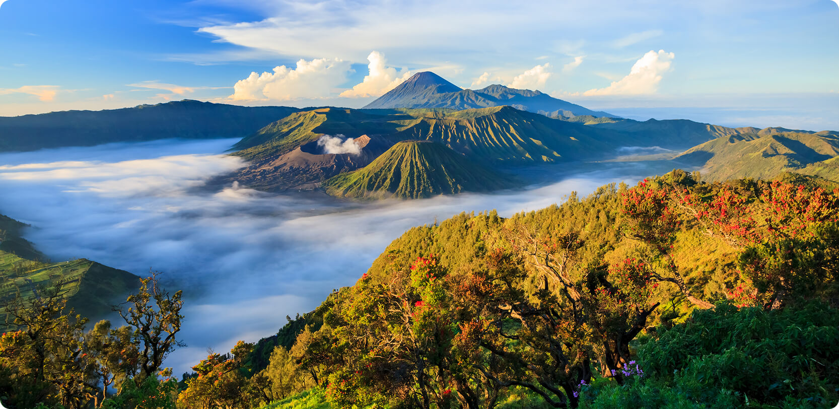 Bromo-Tengger-Semeru National Park