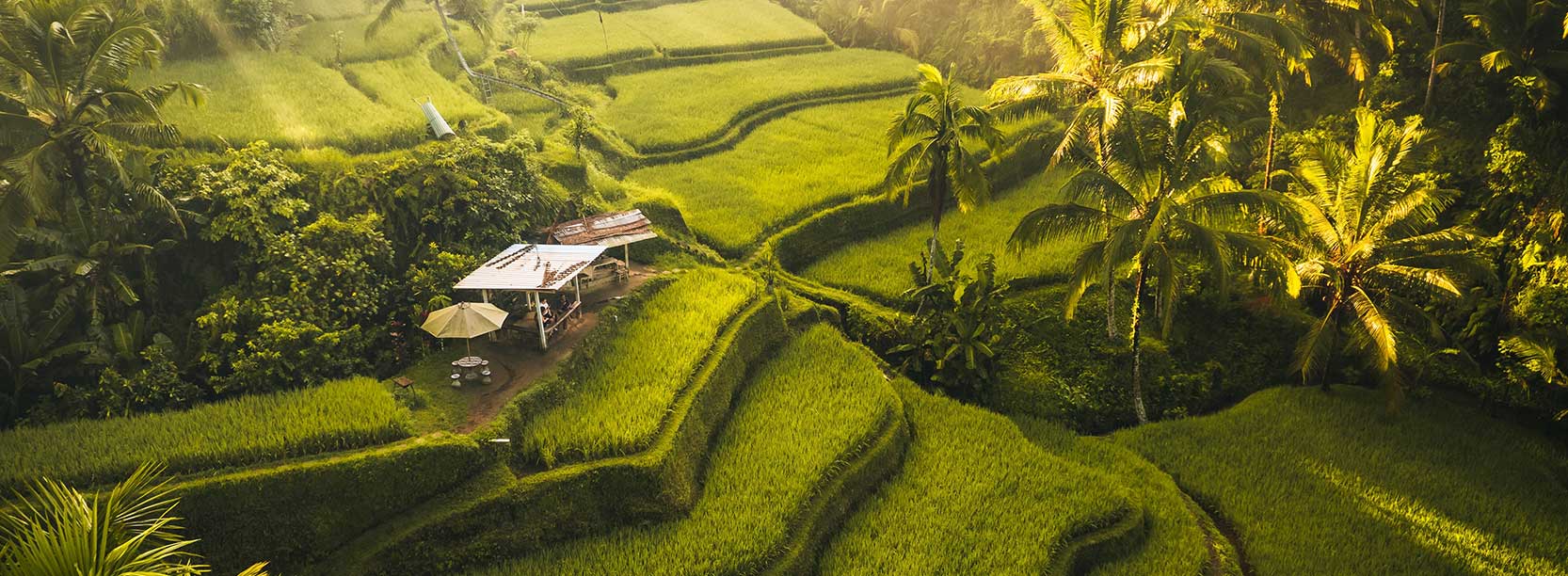 bali